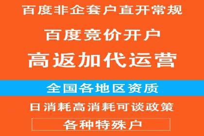 百度竞价赚钱案例：月收入稳步提升